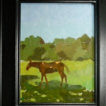 Field with horse